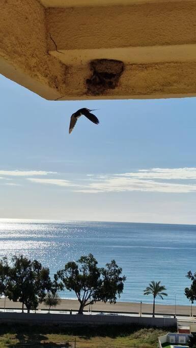 Apartamento 3 Habitaciones Con Piscina Y Vistas Al Mar Benicàssim Esterno foto